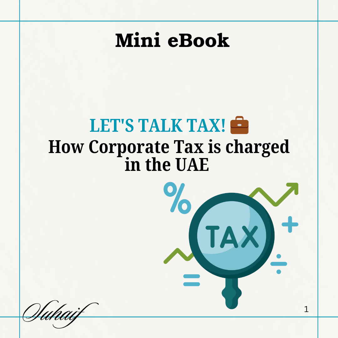 Chapter 1, Article 3 The Tax Rates and who pays what